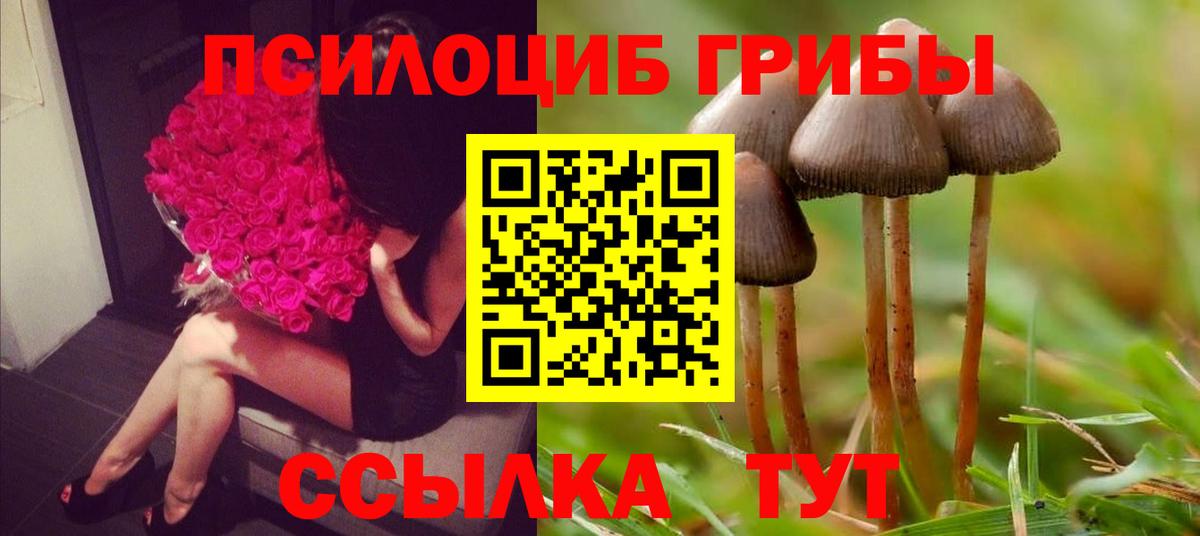 Псилоцибиновые грибы Psilocybine cubensis Владивосток