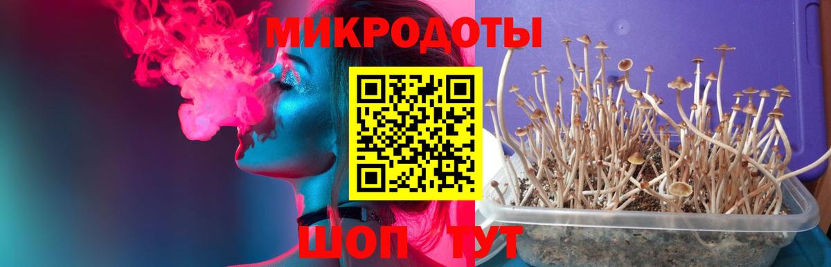 Псилоцибиновые грибы мицелий  Вход с VPN  Галлюциногенные грибы мухоморы  Владивосток 